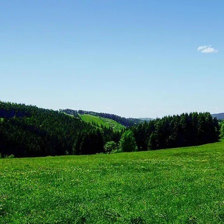 Ferienhauspark Hasselfelde