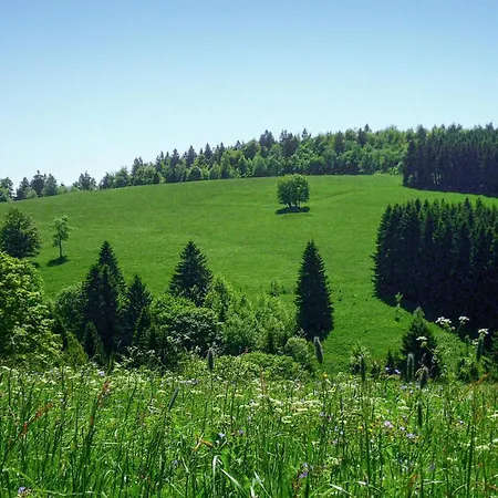 Ferienhauspark Hasselfelde
