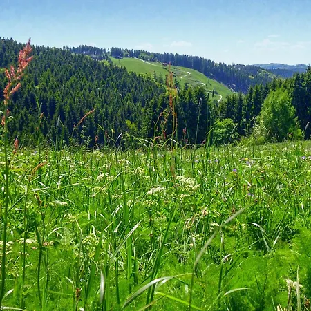 Ferienhauspark Hasselfelde