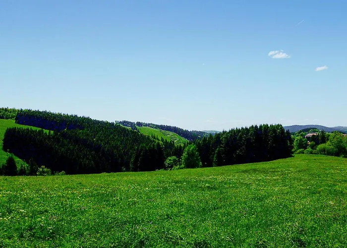 Ferienhauspark Hasselfelde