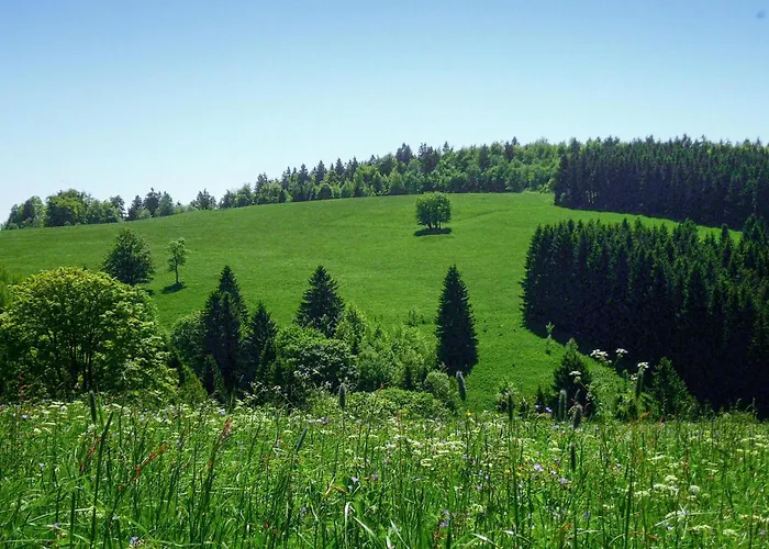 Ferienhauspark Hasselfelde